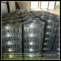 2013 look direct factory price Hot galvanized field fencing for livestock